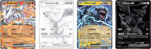 Pokémon Trading Card Game