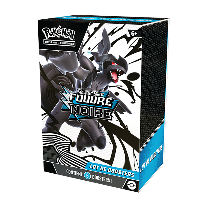 Bundle 6 boosters